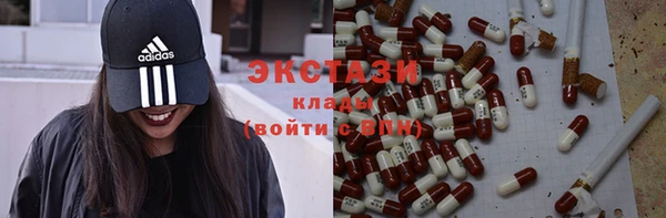 гашик Алексин
