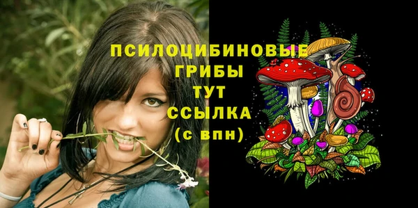 СК Абинск