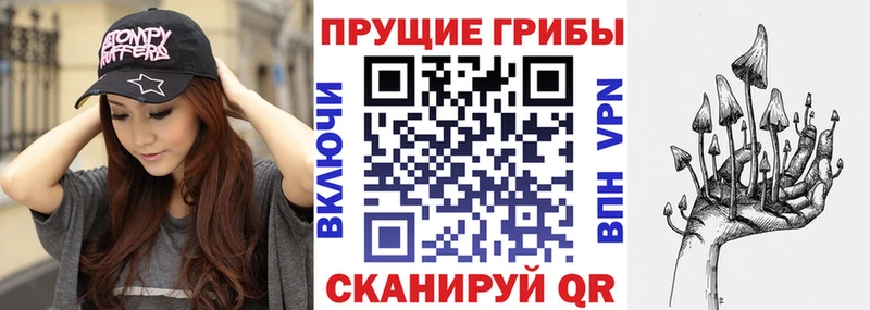 где можно купить   Ржев  Галлюциногенные грибы GOLDEN TEACHER 