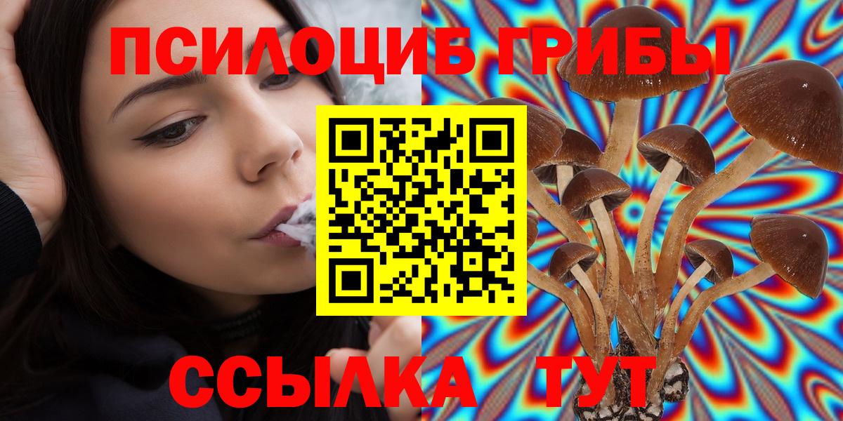 Галлюциногенные грибы Psilocybine cubensis Ржев