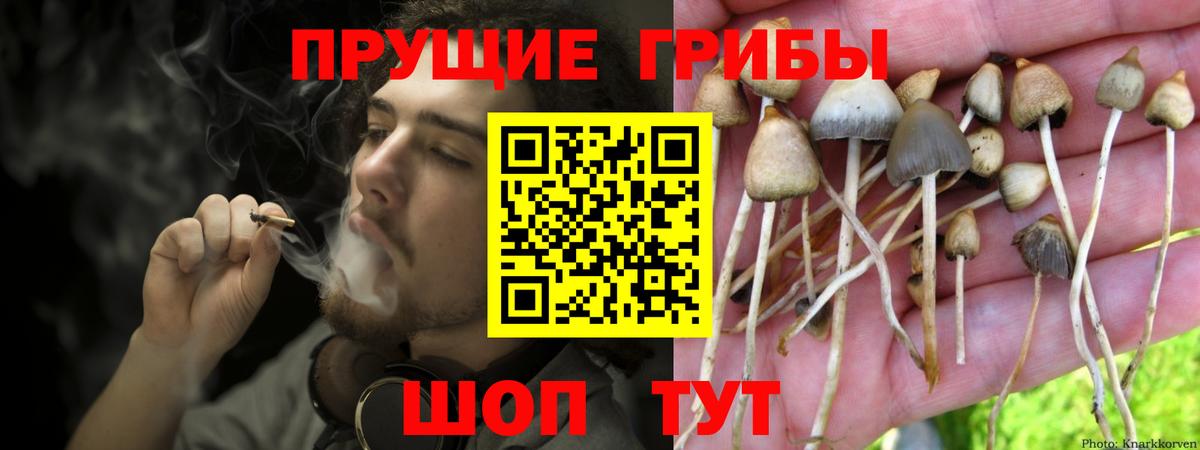 Ржев  Псилоцибиновые грибы GOLDEN TEACHER  Вход с VPN 